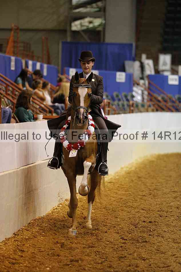 Proof Number 14r12_1016