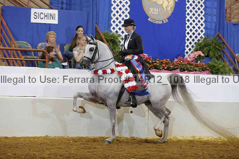 Proof Number 14r12_1018