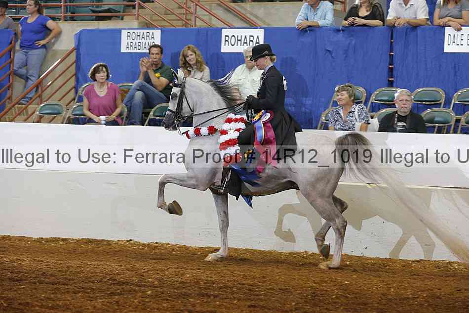 Proof Number 14r12_1019