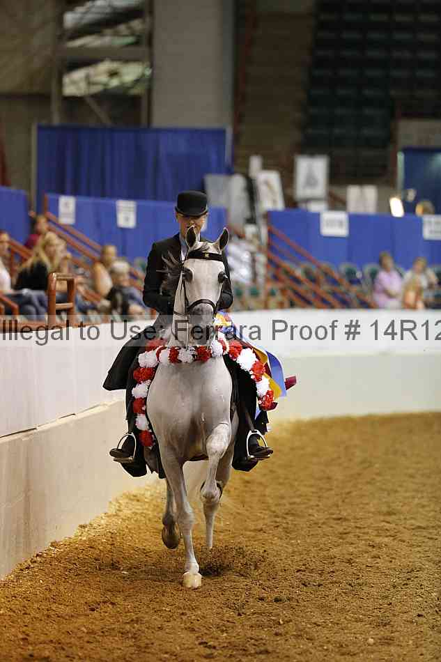 Proof Number 14r12_1021
