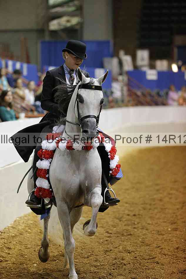 Proof Number 14r12_1022