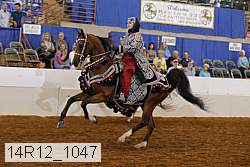 14r12_1047 thumbnail