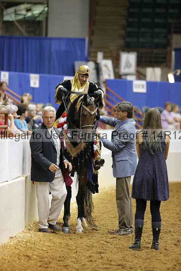 Proof Number 14r12_1049