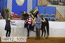 14r12_1050 thumbnail