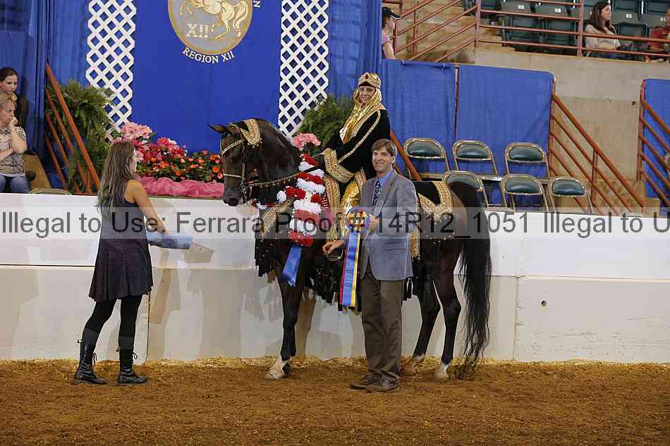 Proof Number 14r12_1051