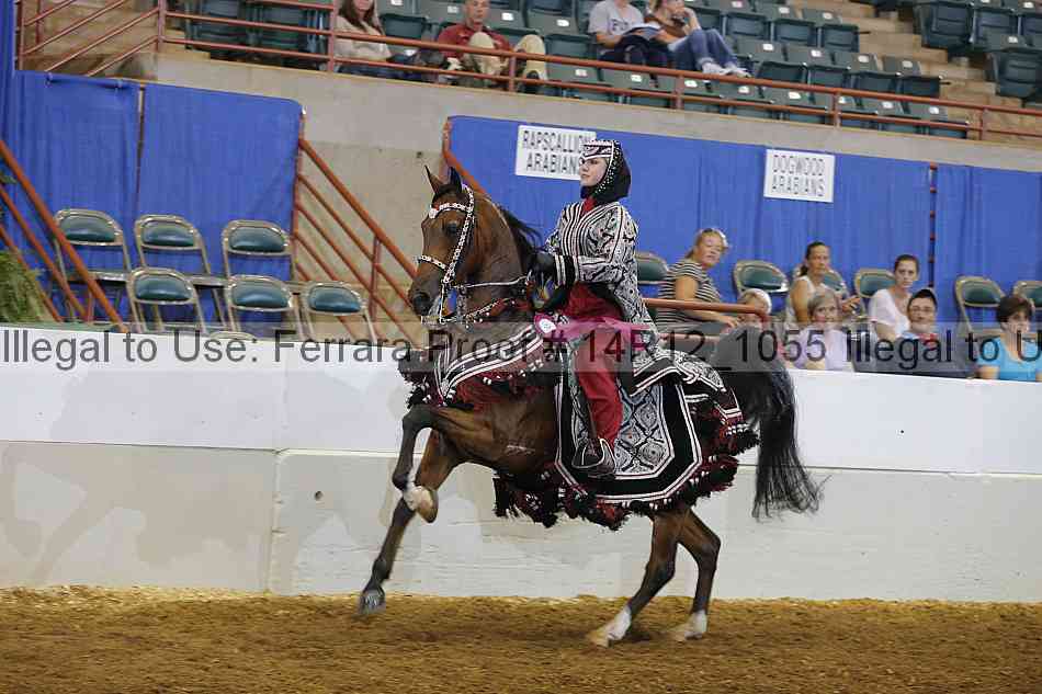 Proof Number 14r12_1055