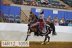 14r12_1055 thumbnail