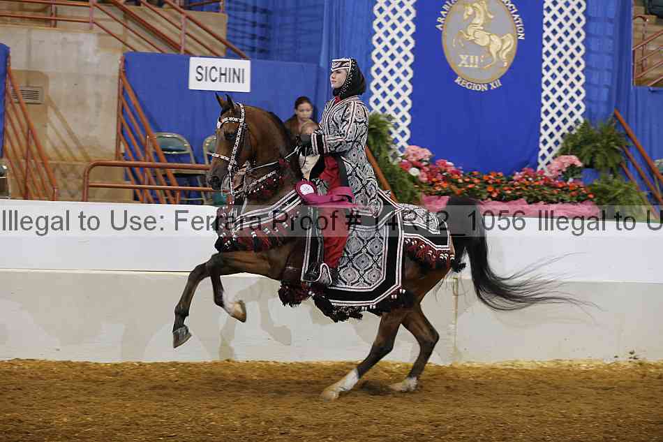 Proof Number 14r12_1056