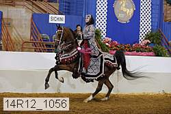 14r12_1056 thumbnail