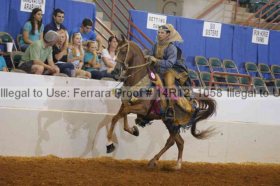 Proof Number 14r12_1058