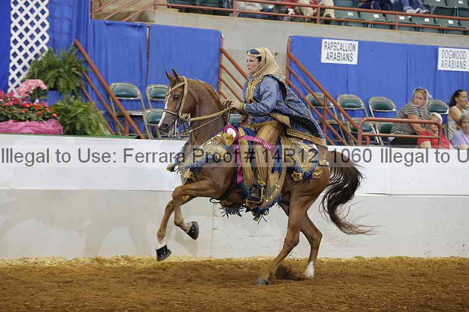 Proof Number 14r12_1060