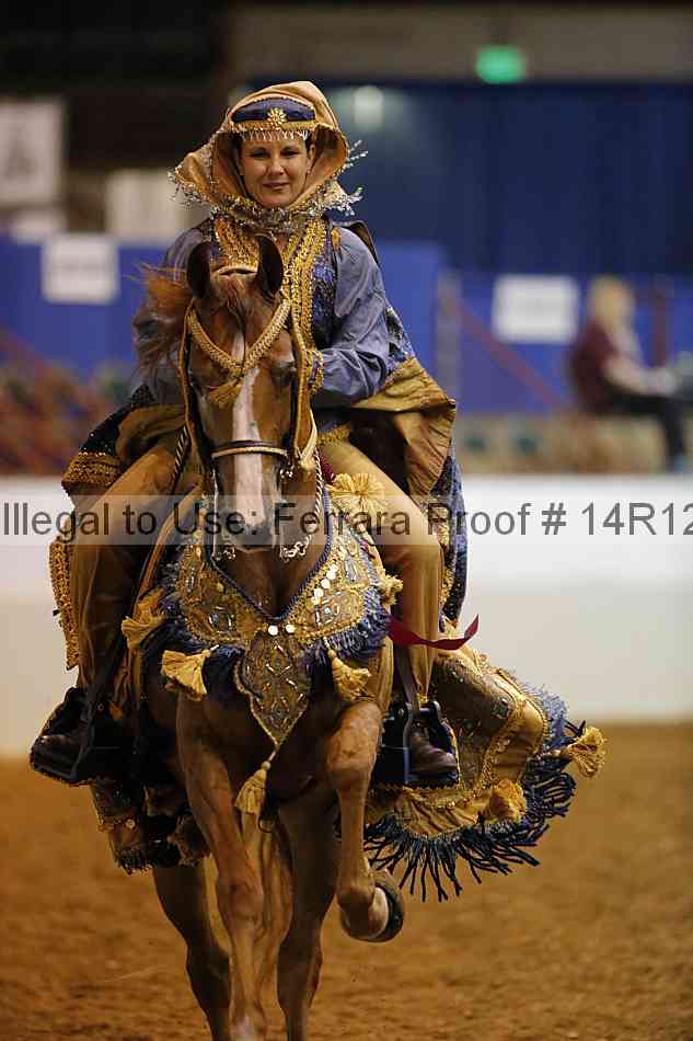 Proof Number 14r12_1062