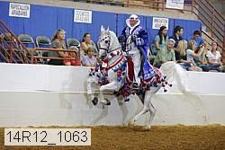 14r12_1063 thumbnail