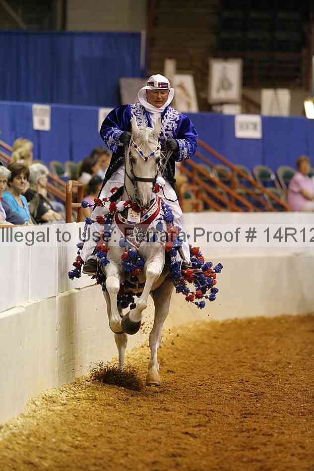 Proof Number 14r12_1066