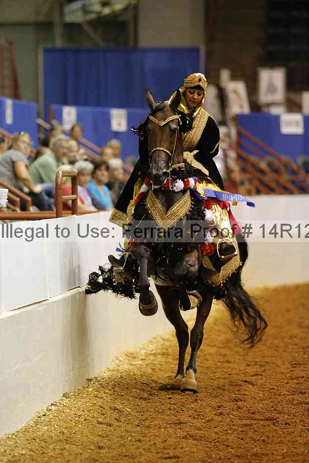 Proof Number 14r12_1067