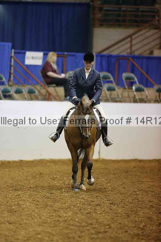 Proof Number 14r12_1073