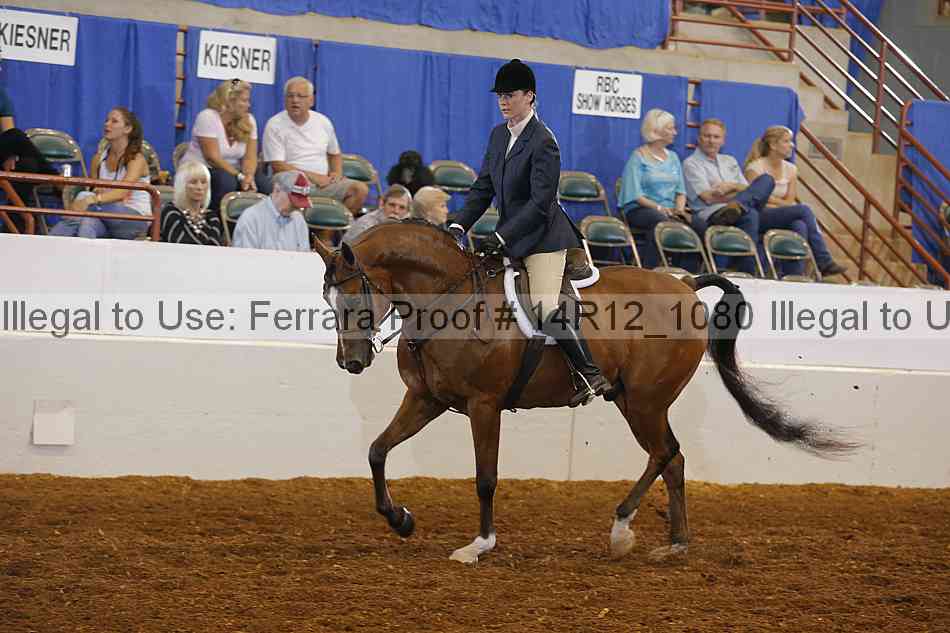 Proof Number 14r12_1080