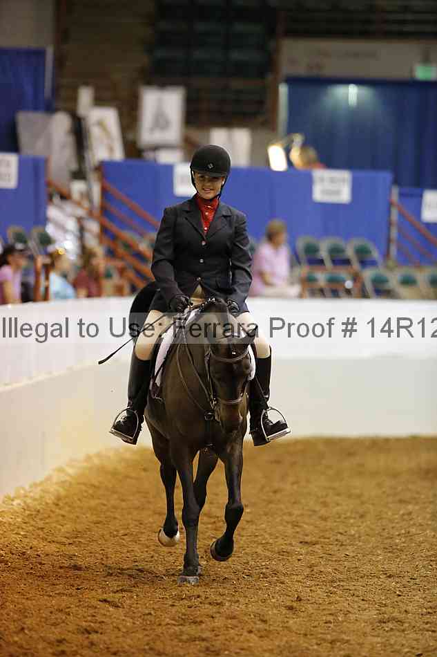 Proof Number 14r12_1085