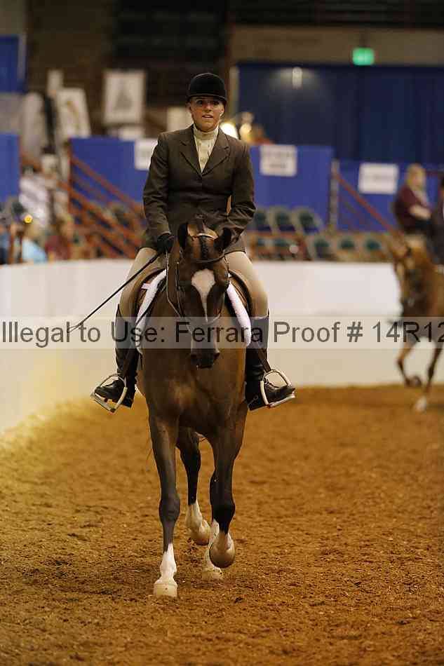Proof Number 14r12_1088