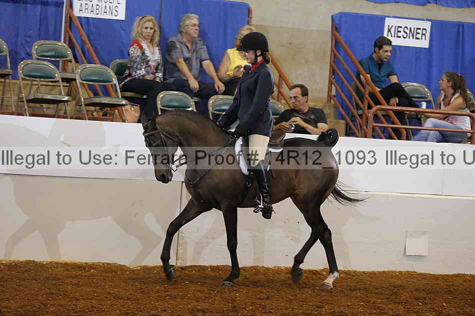 Proof Number 14r12_1093