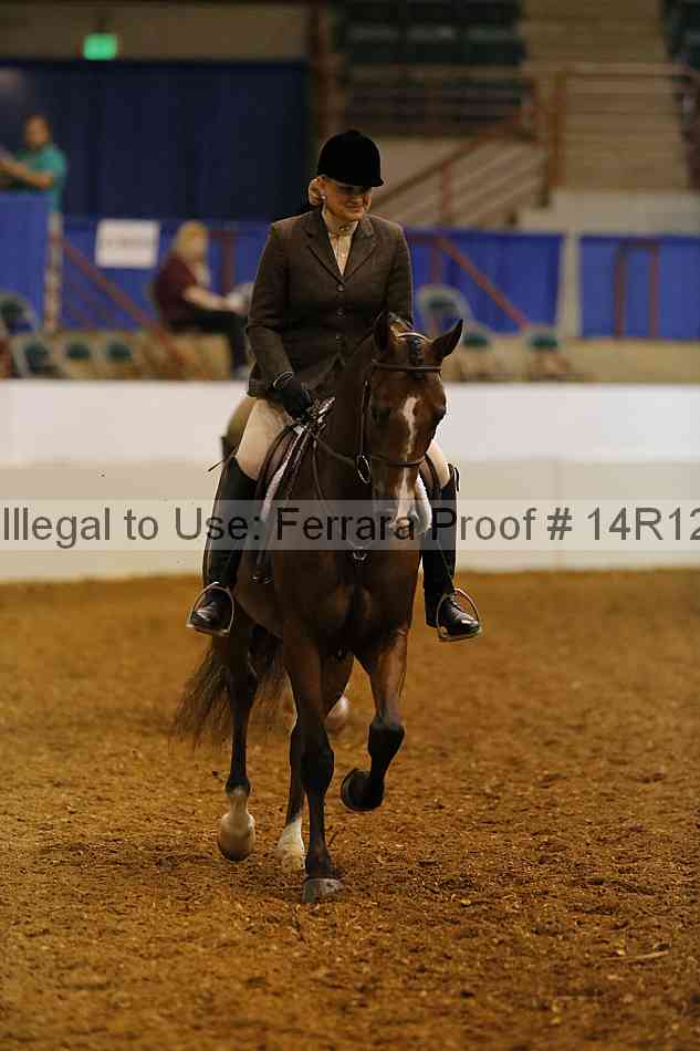 Proof Number 14r12_1094