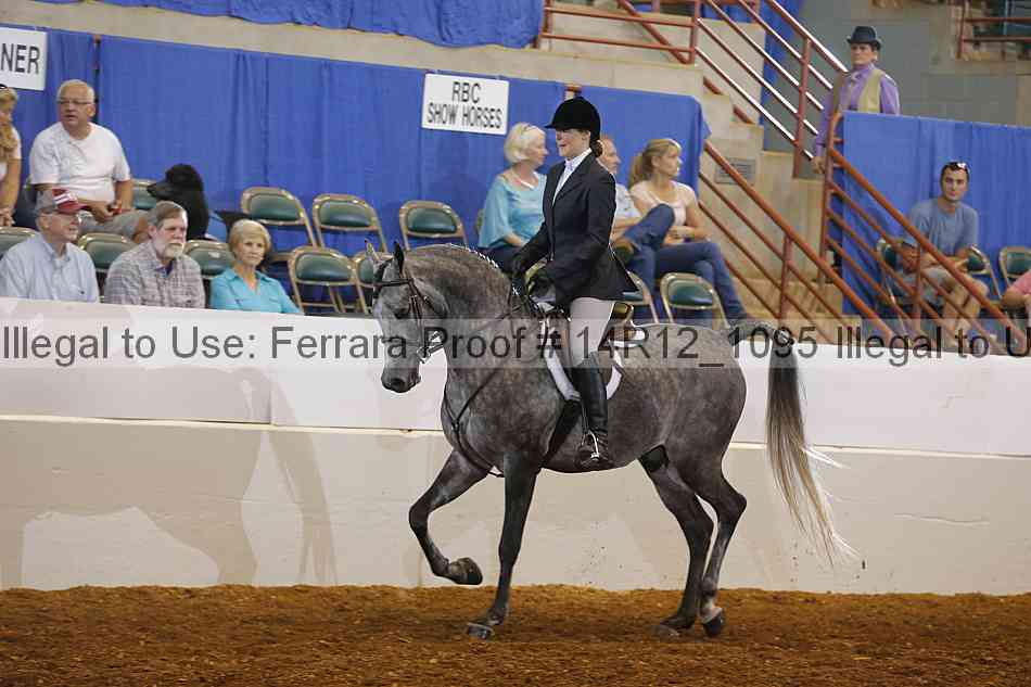 Proof Number 14r12_1095
