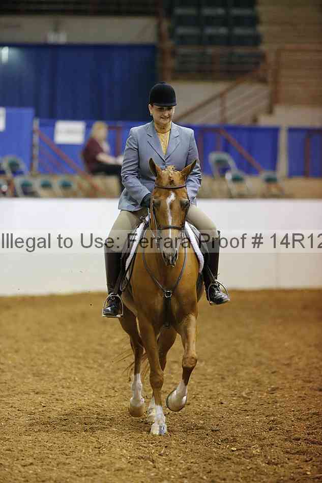 Proof Number 14r12_1096