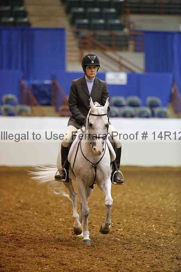Proof Number 14r12_1101