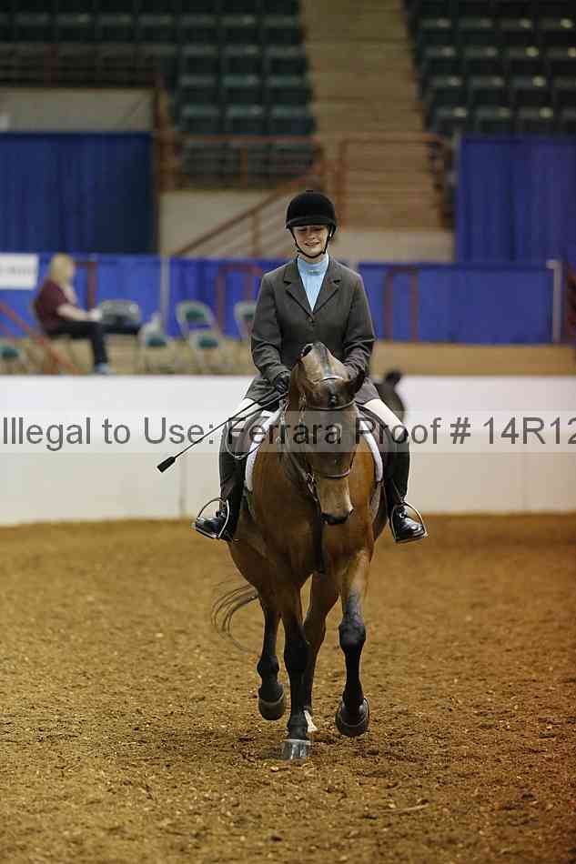 Proof Number 14r12_1106