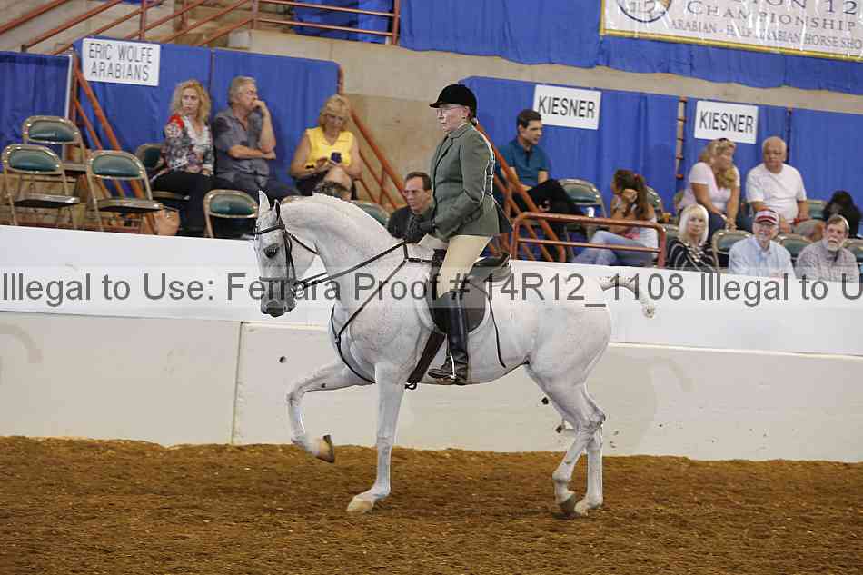 Proof Number 14r12_1108