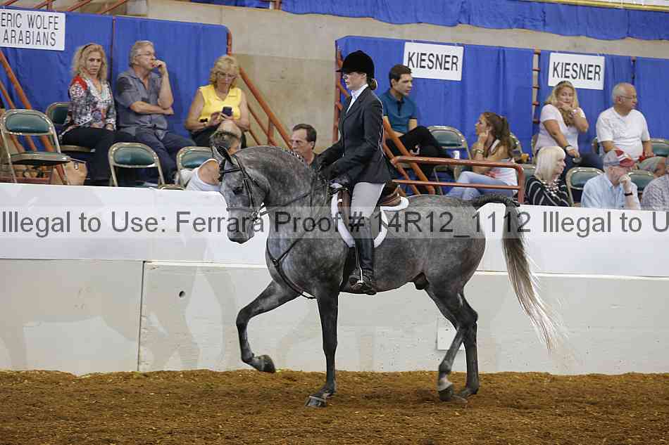 Proof Number 14r12_1112