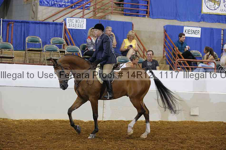 Proof Number 14r12_1117