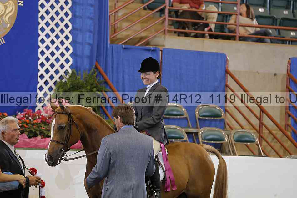 Proof Number 14r12_1119