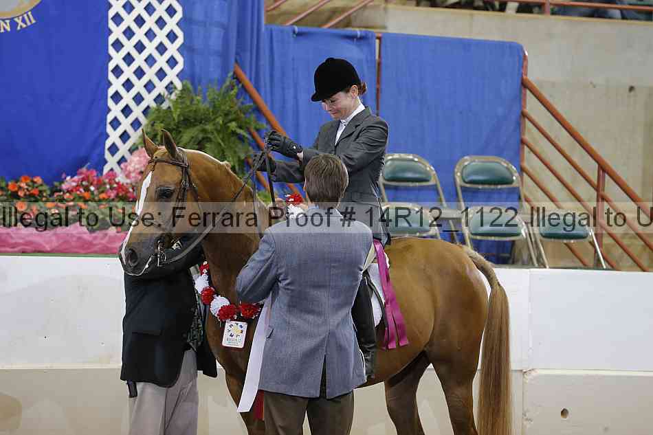 Proof Number 14r12_1122