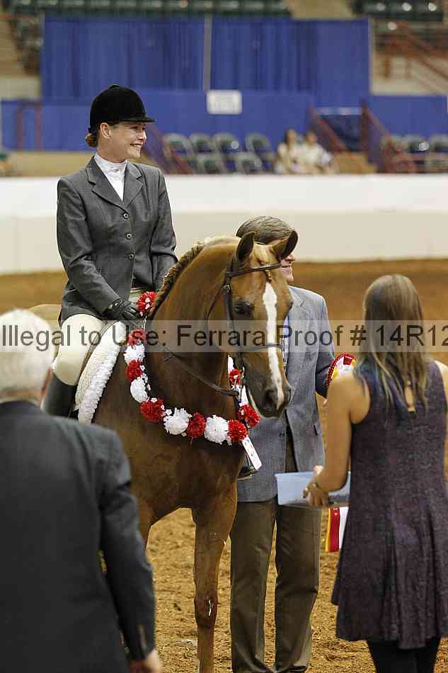 Proof Number 14r12_1123