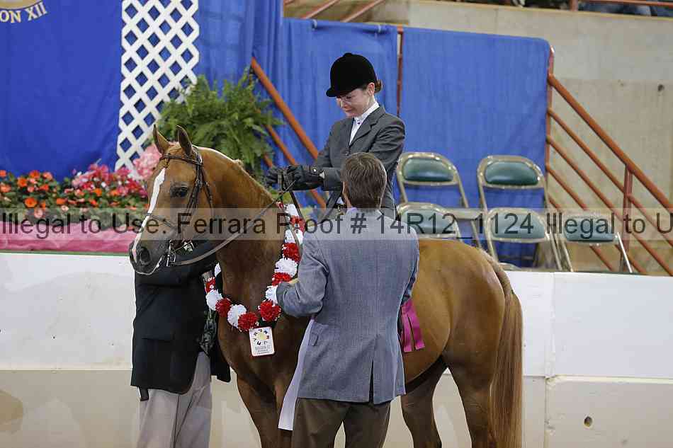 Proof Number 14r12_1124