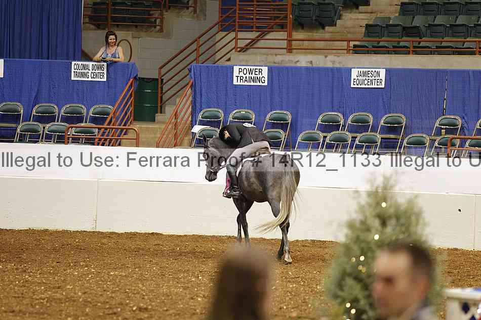 Proof Number 14r12_1133