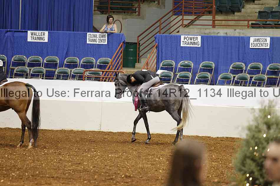 Proof Number 14r12_1134