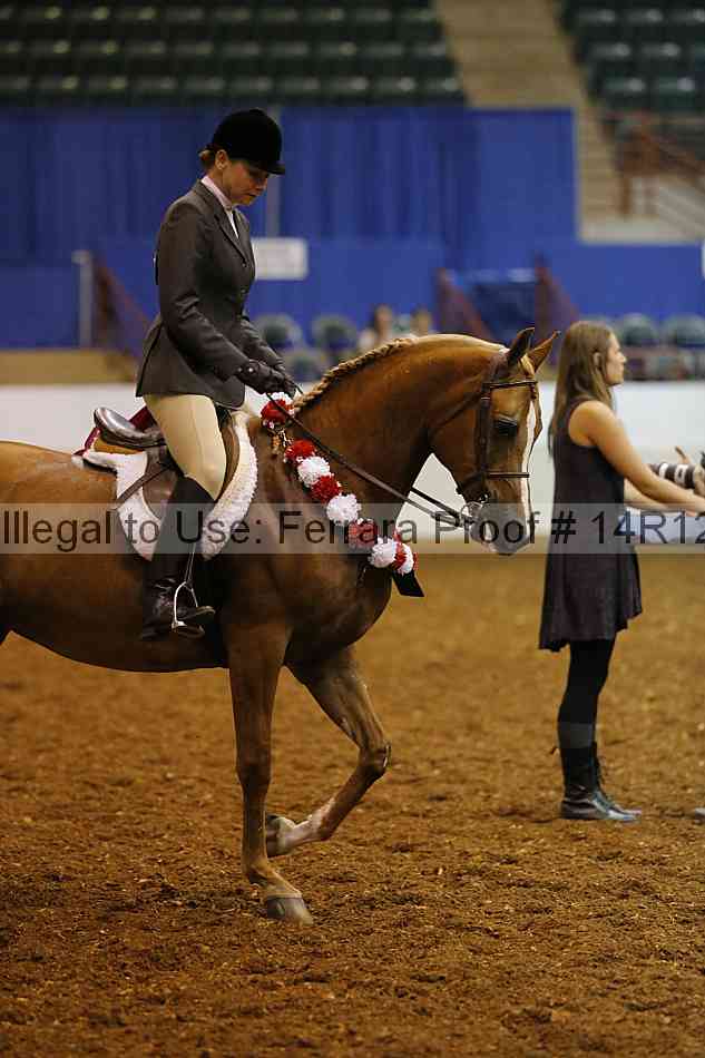 Proof Number 14r12_1135