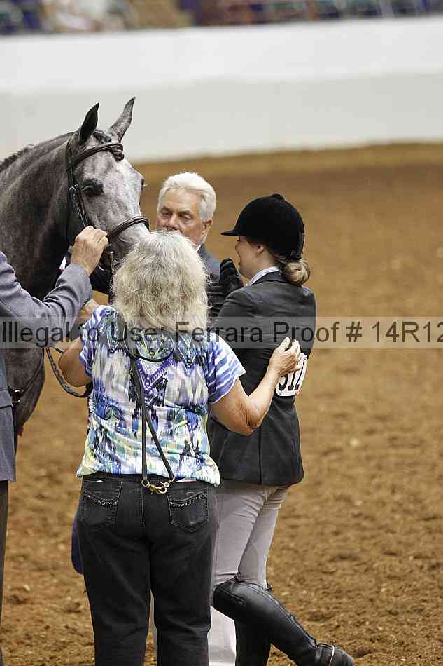 Proof Number 14r12_1138