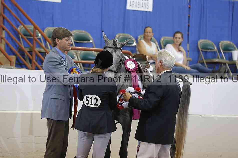 Proof Number 14r12_1139