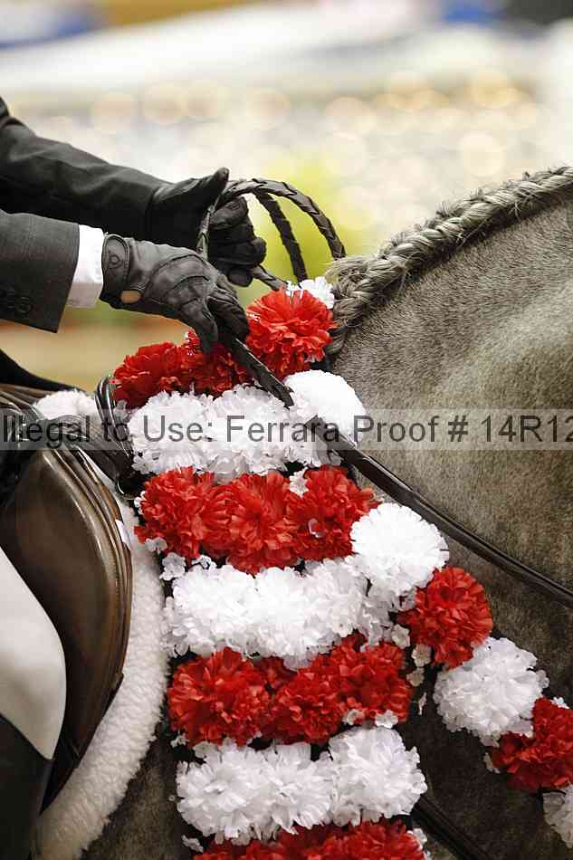 Proof Number 14r12_1154