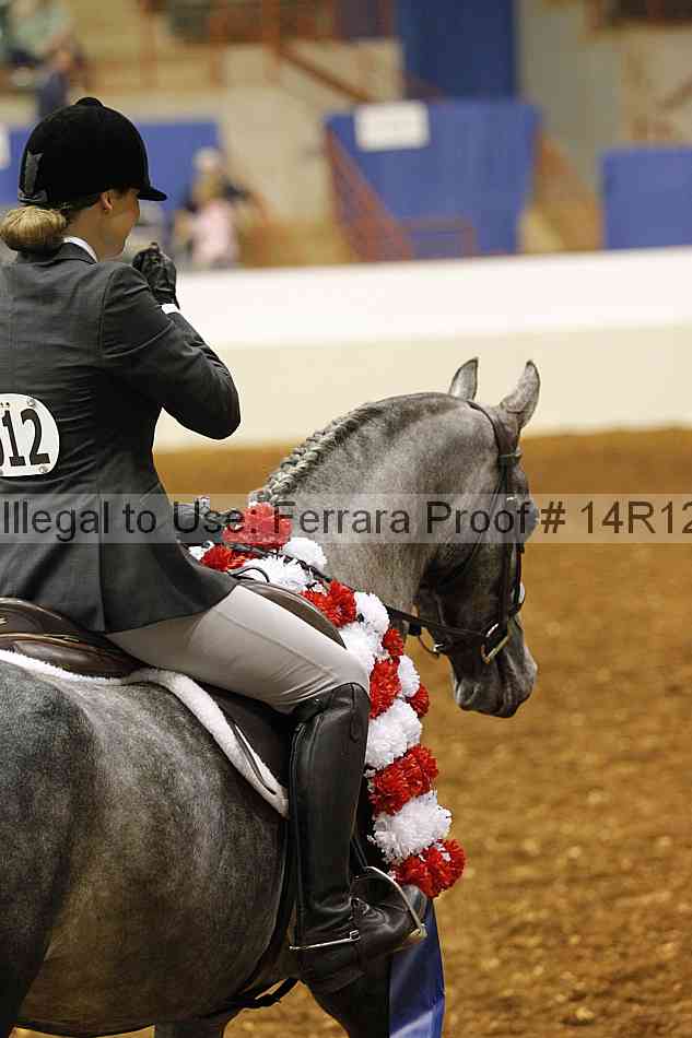 Proof Number 14r12_1156