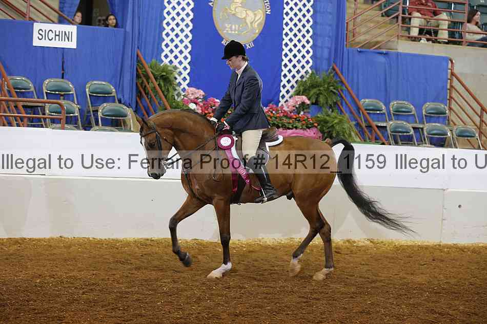 Proof Number 14r12_1159