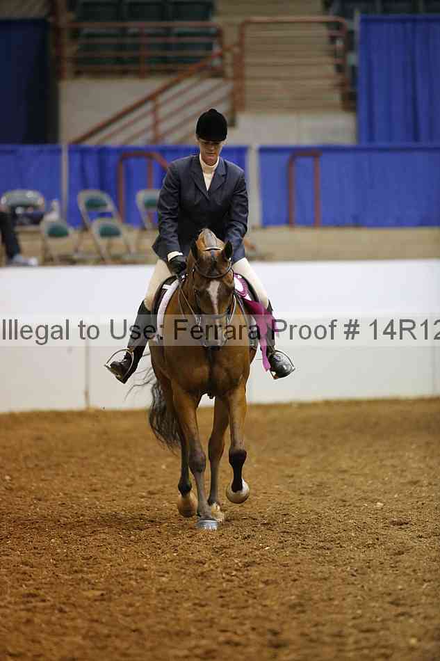 Proof Number 14r12_1160
