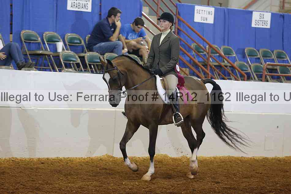 Proof Number 14r12_1162