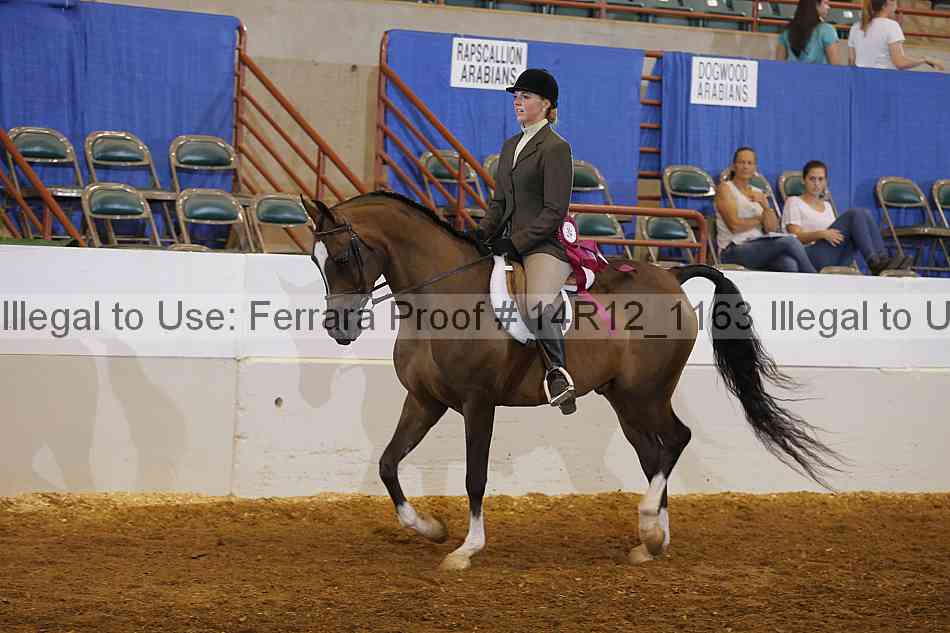 Proof Number 14r12_1163