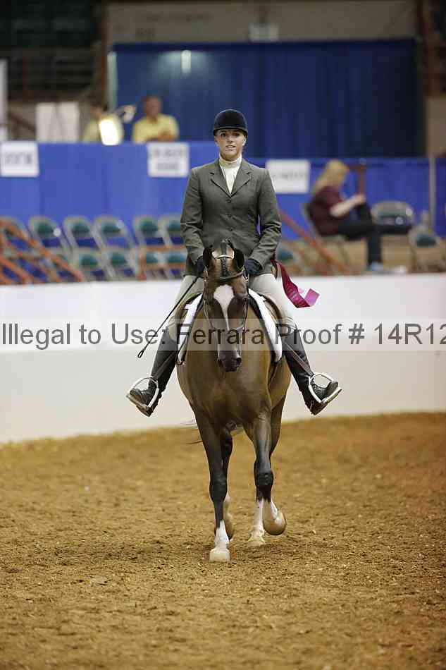 Proof Number 14r12_1166