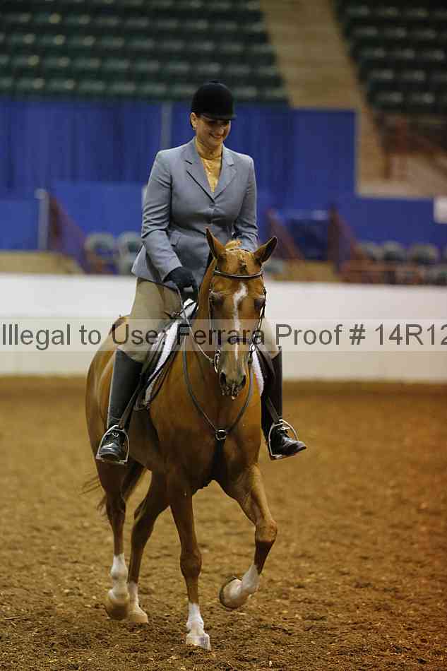 Proof Number 14r12_1169