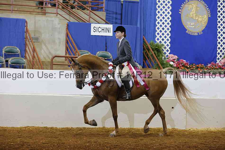 Proof Number 14r12_1171